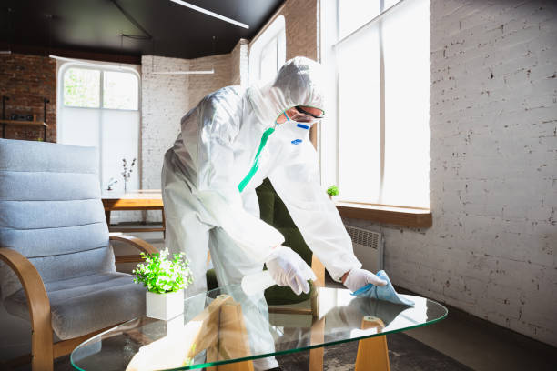 Biohazard Mold Removal in West Salem, WI